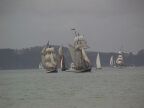 462 Bay of Islands Russell Cannon.JPG (31 KB)